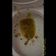 Emi squats over the toilet with her ass to the camera and lets out a nasty raunchy pre-period shit, shows the full bowl up close, then wipes. Vertical format video. Over 12 minutes.